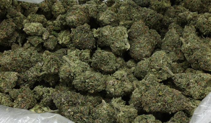 Blackberry Puff Pastry